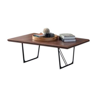 Salontafel Koffietafel bijzettafel Hout Bruin Houten tafel