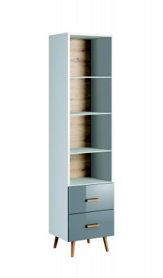 Boekenkast vitrine vitrinekast glazen kast klassieke kast boekenkast