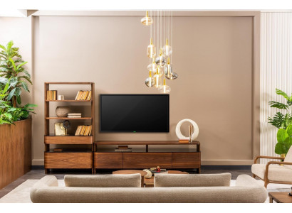 Woonwand TV-standaard Boekenplanken RTV laag dressoir Sideboard Bruin Hout Set