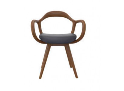 Stoelen Woonkamer Eetkamer Fauteuil Houten stoel met armleuning Eetkamer meubels