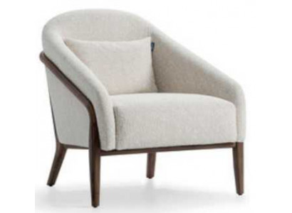 Fauteuil Bekleding Zitter Modern Ontwerp Grijs Lounge Luxe Woonkamer