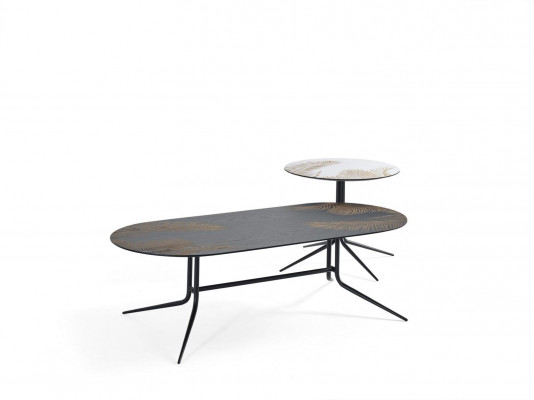 Ontwerpkoffietafel bijzettafel woonkamertafel ontwerptafel luxe