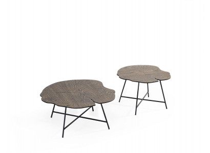 Set van twee luxe salontafels voor de woonkamer in moderne stijl