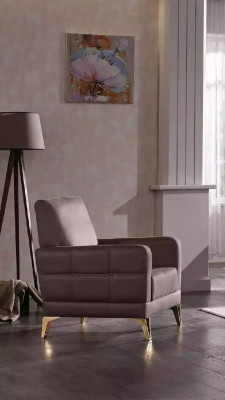 Roestvrijstalen fauteuil woonkamer meubels gestoffeerde fauteuil