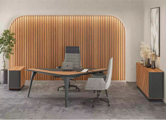 Dressoir kantoor dressoir Design meubilair Kast Lowboard Nieuw Kantoor Bruin