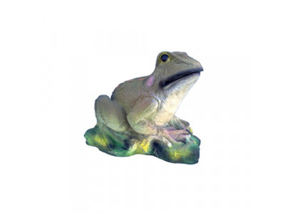 abstract beeld Kikkerdecoratie Figuur Kunststof Deco Standbeeld 25cm Standbeelden