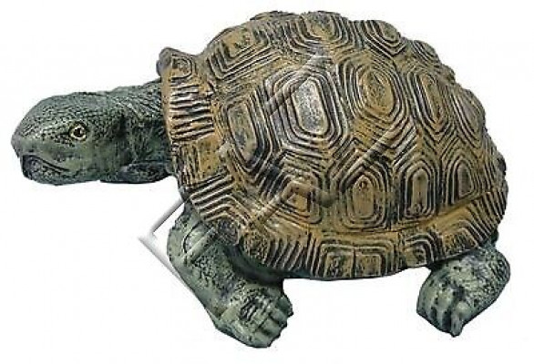 Ontwerp Schildpad Figuur Standbeeld Sculptuur Figuren Sculpturen Tuindecoratie Beelden