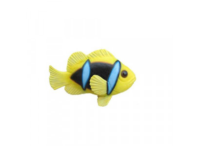 Anemonen vis Oceaan Exotische vissen Display Aquarium Dierentuin Sculptuur Standbeelden