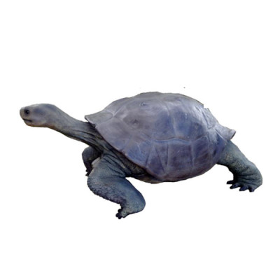 Schildpad figuur decoratie standbeeld sculptuur tuindecoratie figuren 60x140cm nieuw
