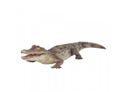 Krokodil Tuindecoratie Levensgroot Standbeeld Figuren Beeldhouwwerk 198cm Standbeelden Figuur