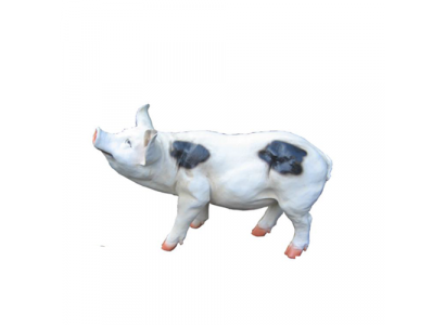 Decoratie Tuin Beeld Standbeeld Figuren Standbeelden Decor Nieuw Sculpturen Varken 40cm