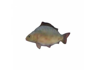 Decoratieve moderne mooie sculptuurvis, figuurhoogte 60 cm.