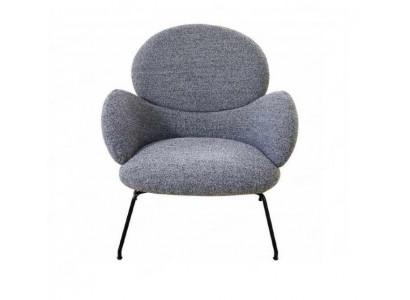 Fauteuil Stoel Gestoffeerde stoel fluweel Loungestoel Woonkamer Eetkamer Grijs
