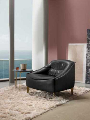 Fauteuil Bekleding Zitter Modern Ontwerp Leer Relax Fauteuil Lounge Luxe Woonkamer