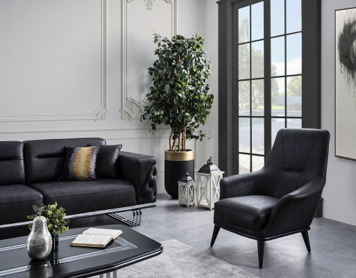 Woonkamer Oorfauteuil Stoel Ontwerp Zwarte Club Lounge Praktijk