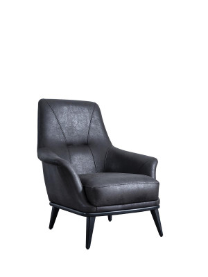 Woonkamer Oorfauteuil Stoel Ontwerp Zwarte Club Lounge Praktijk