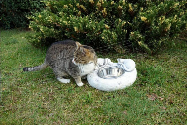 Water drinkfontein katten drinkbak container klant drinkvat
