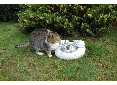 Water drinkfontein katten drinkbak container klant drinkvat