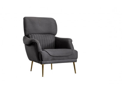 Luxe fauteuil Modern Design Woonkamermeubels Grijze kleur Stijl
