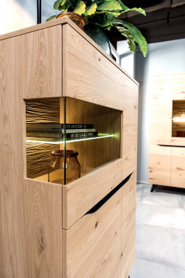 Luxe glazen moderne vitrine houten ontwerpkast vitrinekasten plank rekken kasten