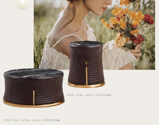 Ontwerper salontafel bijzettafel bank woonkamer tafel meubels rond