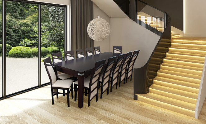 Ontwerp eetkamerset stoelenset tafel + 12 stoelen eetkamermeubels