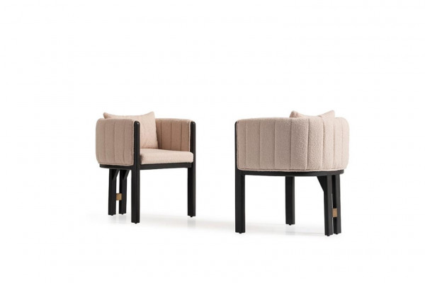 Keukenstoel eetkamerstoel Set stoelen 2-delig Armstoel Groep Beige