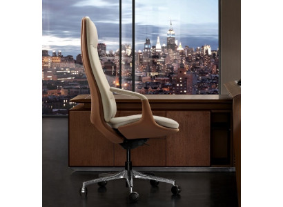 Stoel Bureaustoel Bureau Bureaustoel Fauteuil Stoelen Directiestoel Kantoor