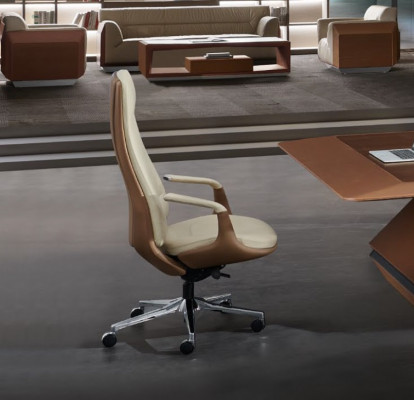 Stoel Bureaustoel Bureau Bureaustoel Fauteuil Stoelen Directiestoel Kantoor
