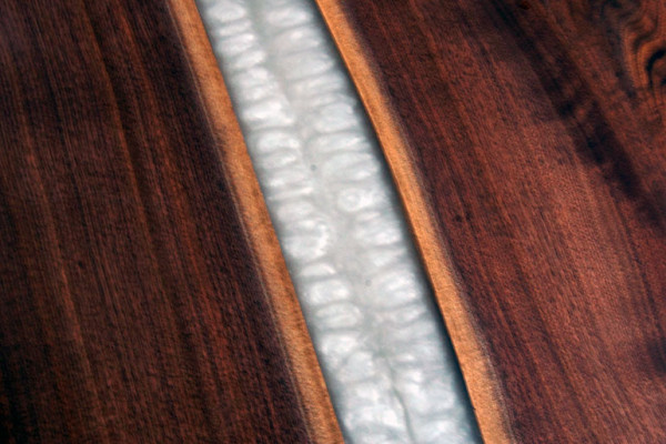 Conferentietafel Besprekingstafels Design Tafel Epoxyhars Keukentafel