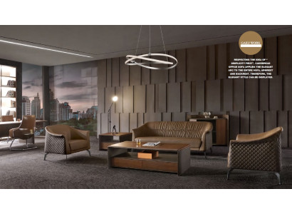 Sofaset Ontwerpsbank Beklede Bank Leren Bank Modern Nieuw 311