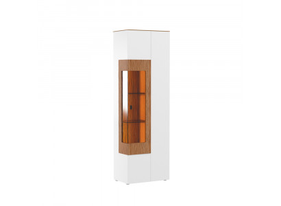 Vitrine glazen kast woonkamer etalage 1 deur. Vitrine hoge kast modern