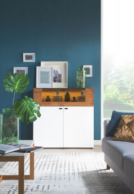 Kast van eikenhout Vitrinekast Ladenkasten Vitrinekasten Kledingkast Ontwerperskast