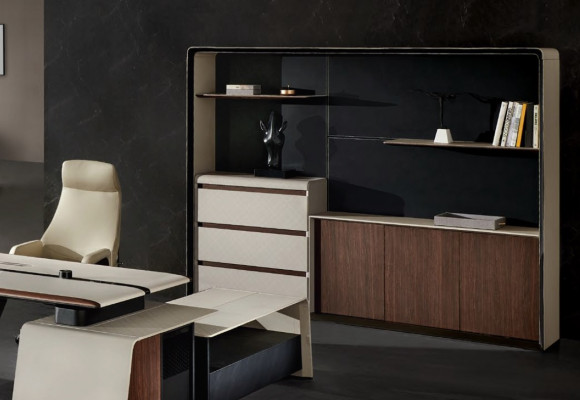 Archiefkast Boekenkast Planken Decoratie Kast Luxe kantoormeubelen Kasten