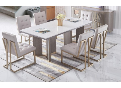 Complete set eetkamer set 6x fauteuil stoelen groepering