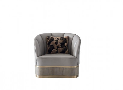 Woonkamer luxe fauteuils hotel gestoffeerde stoelen moderne eenzitters ontwerper