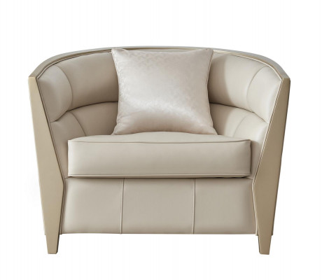 Fauteuil Bank Inrichting Fauteuil Eenpersoons Royal Stoel Bekleding Lounge Club