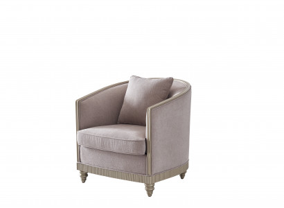 Woonkamer luxe fauteuil hotel bekleding moderne enkele ontwerper grijs