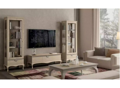Woonkamer rtv vitrine woonwand kasten design art deco vitrine set.  -> Woonkamer RTV vitrine woonwand kasten design art deco vitrine set.