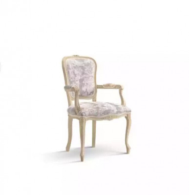 Fauteuil met armleuning Luxe stoel Woonkamer Eetkamer Fauteuil