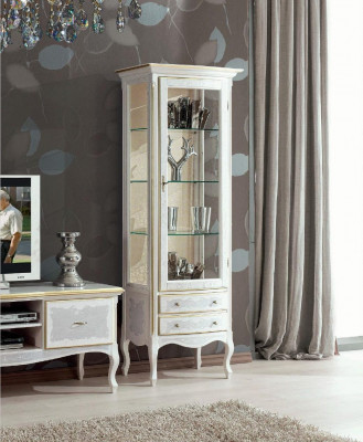 Verzamelaarskast vitrinekasten vitrine luxueuze vitrinekasten meubilair glazen kast glas
