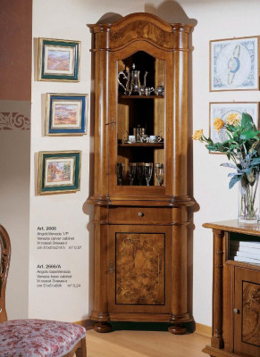 Woonkamermeubels Glaskast Vitrine Houten vitrines Glazen kast Kasten Planken