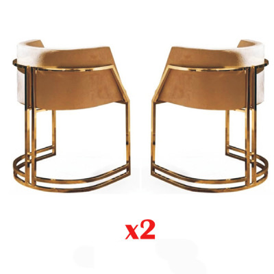 Luxe 2x stoel eetkamerstoel keukenstoelen woonkamerstoel gestoffeerde stoel leuning Nieuw