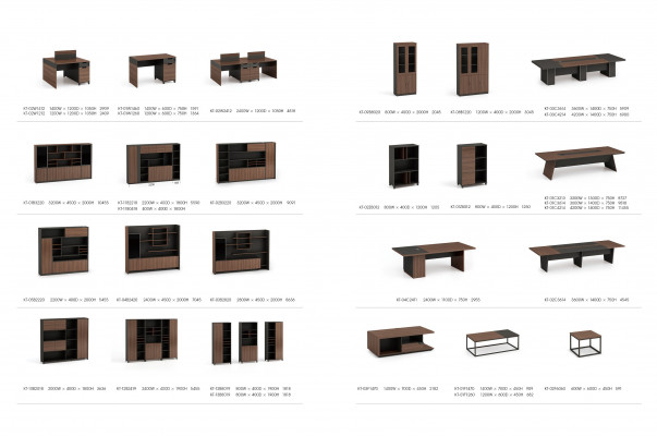 Aktenschrank Boekenkast Plank Planken Kast Kantoor meubilair Kasten Inrichting
