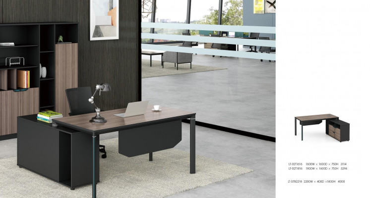 Aktenschrank Boekenkast Rekken Kast Luxe Decoratie Kantoor Meubilair Kasten