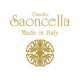 Claudio Saoncella