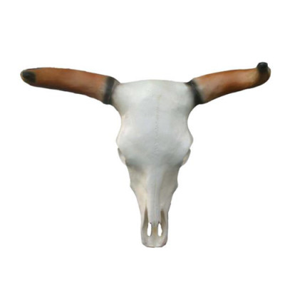 Stierenkop schedel wand sculpturen hoogte 64 cm decoratief beeld wanddecoratie