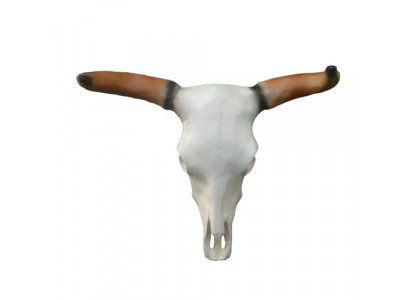 Stierenkop schedel wand sculpturen hoogte 64 cm decoratief beeld wanddecoratie