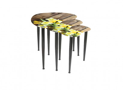 Complete salontafelset Designer woonkamer 3x ovale bijzettafel set