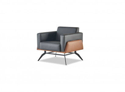 Leunstoel Fauteuil 1-Zitter Zitmeubel Modern Leer Roestvrij Staal Hout Tweezits